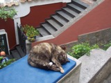 Clicca qui per vedere l'immagine in dettaglio
